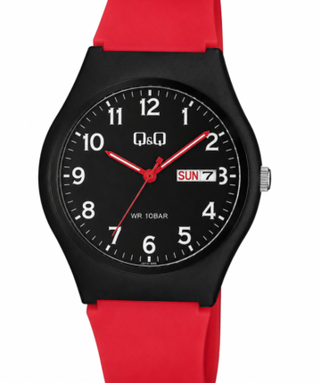 Reloj Q&Q A212J009Y