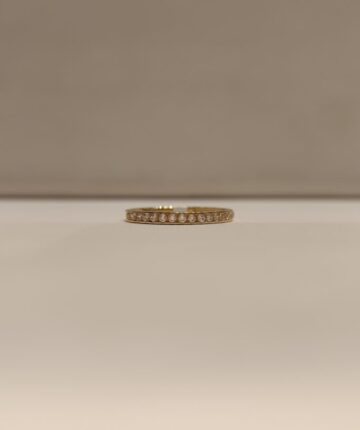 Anillo medio sin fin con cironias pequeñas